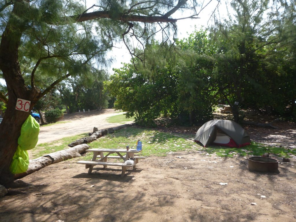 Ons plekje op de camping, op zo'n 20 meter van het strand.